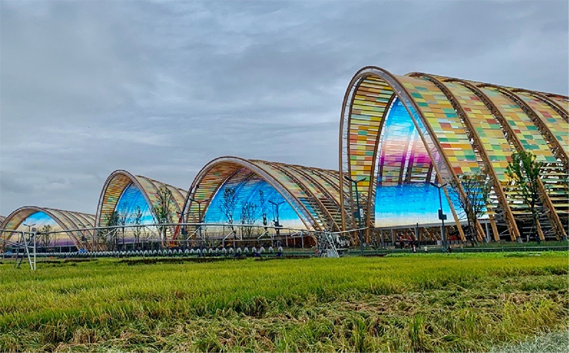 永利·yl(中国集团)有限公司官网