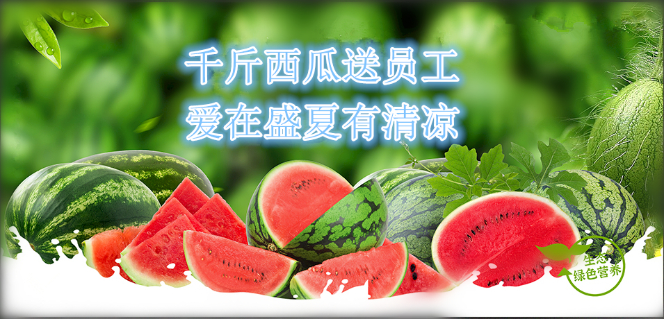 ng28.com软件公司： 千斤西瓜送员工，爱在盛夏有清凉